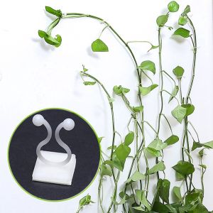 Móc treo cây đa năng móc treo chìa khóa treo dây cáp phù hợp cây thân dài thân leo thích hợp trong nhà ngoài trời