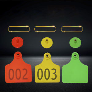 Thẻ tai bò dê đủ kích cỡ màu sắc có thể lựa trọn