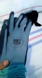 Sarung Tangan Kerja Savety Lapis Karet abu abu 1 LUSIN merk cometshimapro masther dll GROSIR