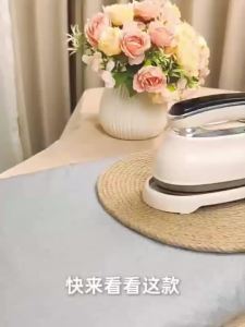 handheld 2 in 1 Portable Garment Steamer Steam Iron Travel Compact Water Tank Multifunctional 蒸汽熨斗