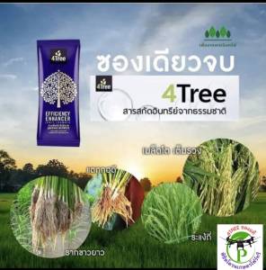 4Tree​ของแท้ โฟร์​ทรี​ 1 ซอง ใช้ได้ 15-20 ไร่ สารเสริมประสิทธิภาพพืชสูตรอิออน ช่วยเร่งราก พืชโตเร็ว ทำให้พืชเขียวนาน ใช้ได้กับพืชทุกชนิด นวัตกรรมใหม่จากประเทศอิสราเอล ของแท้100%