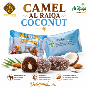 Dates Chocolate / Mix Dates Chocolate / Dark Chocolate / Milk Chocolate / White Chocolate / Al Raiqa Dates Chocolate / High Quality