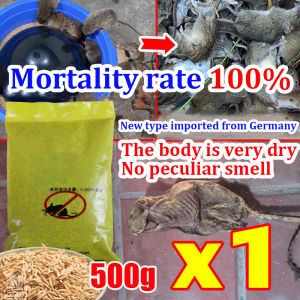 No rats within 1000 meters🐭Rat poison killer 500g Racun tikus paling kuat老鼠药Ubat tikus paling kuat mati Rat bait Rat repellent Racun tikus paling berkesan