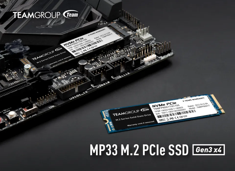 TEAMGROUP MP33 256GB PCIe 2280 x4 with NVMe 3D NAND Internal  SSD TM8FP6256G0C101