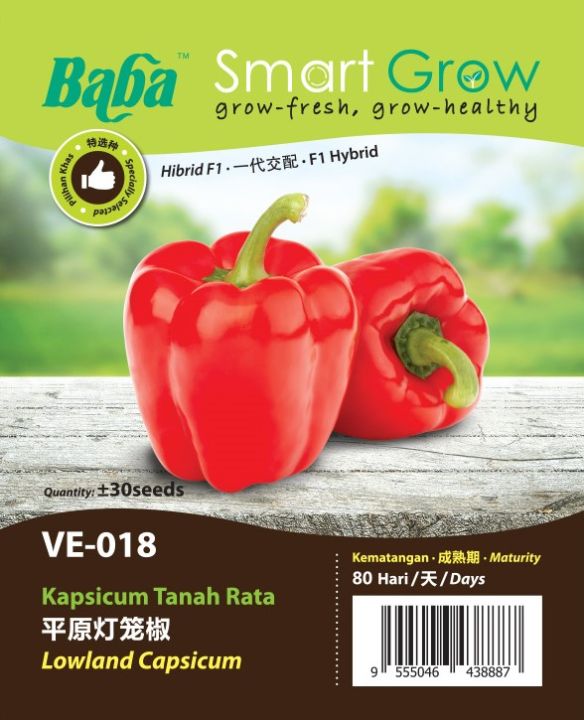 Baba Lowland Capsicum Seed 灯笼椒种子 F1 Hybrid Non-GMO Benih Kapsicum Tanah ...