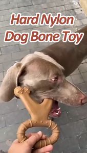 Popular Dog Interactive Toy Chewing Bone Natural Non-Toxic Anti-bite Teeth Clean Toys for Dogs Pet Chew Game Dental Care Stick Dog Bone Teeth Cleaning