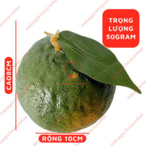 Trái cây giả trái cây mô hình quả giả trang trí nhà cửa hàng quán gắn lên cây
