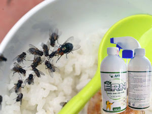 Thuốc diệt ruồi BIO 430ml (an toàn dùng trong gia đình ) chai xịt ruồi thế hệ mới