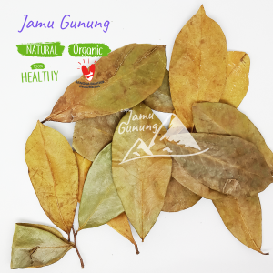 Asli Hutan!! Daun Sirsak Kering Oven 500gr Organik