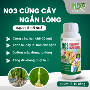 N03 CỨNG CÂY NGẮN LÓNG - NDT - CHỐNG ĐỖ NGÃ RA RỄ KHÔNG NGHẸN ĐÒNG- 500ML