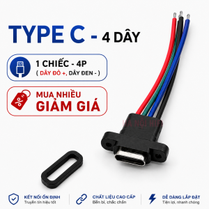 Cổng Type C Đầu Cái 4 Dây Chống Nước IPX5 Có Tai Bắt Vít Dây Đúc Sẵn USB C Female DIY