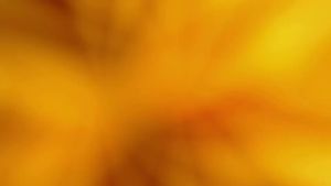 Seashells Ocean Theme Paper Fans Party Decoration Set Shell Starfish Shape Paper Fan Hanging Decoration Birthday Party Supplies