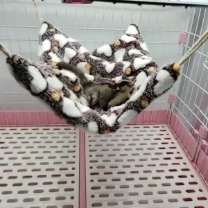 Thực tế thú cưng nhỏ võng treo ngủ giường thú cưng hamster hang động cho mèo con chồn con chó con thỏ trong thời tiết lạnh mùa đông