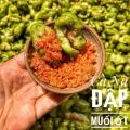 Cà na thái đập dập xốc muối ớt - BỊCH 500G.