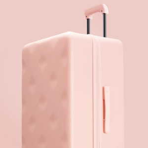 Bromen Pastel Palettes Luggage/Suitecases TRUNK Collection