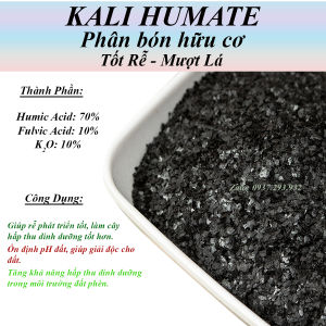 Phân Bón Hữu Cơ - Kali Humate - Kích Rễ Cải Tạo Đất