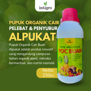 Obat Pelebat Buah Alpukat / Pupuk Penyubur Tanaman Alpukat Bibit / POC Pupuk Pembesar Buah Alpukat