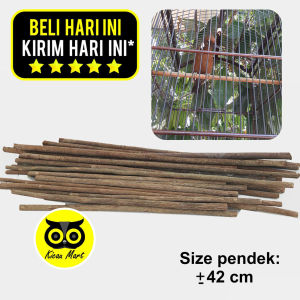 Kicau Mart Tangkringan Kayu Asem Jawa Ukuran Pendek D1 Pangkringan Kaki Untuk Sangkar Kandang Burung Murai Kotak Kacer Anis Branjangan Cucak Lovebird Dll Actassr