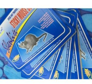 Sticky Mouse Trap Mouse Board Bait Trap Mouse Glue Tools for Home Indoor Outdoor - Paez PH