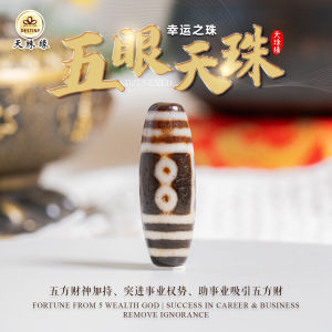 五眼天珠 5 EYED DZI 幸运之珠 西藏老天珠 ANTIQUE DZI WEALTH DZI 手链/项链 Bracelet/Necklace DZI DESTINY 天珠缘