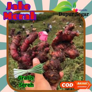 Jahe Merah  segar500 gr