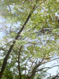 Double Layer Imitation Lamb Wool Blanket Coral Fleece Office Blanket Small Blanket Nap Blanket Thickened Winter LZD