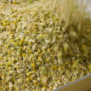 Dried Chamomile Flower (For Brewing Tea)