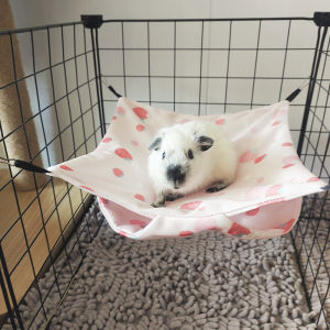 Aimayapet เปลชูการ์ เปลกระรอก เปลคอนโด 2 ชั้น น้ำแข็งเส้น เปลญวน เย็นและระบายอากาศ (ชูก้า แฮมเตอร์ กระรอก นกเล็ก)