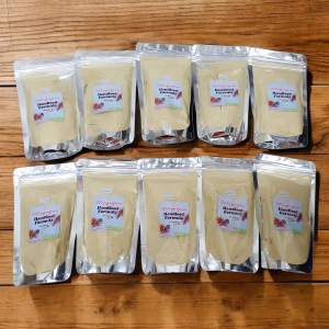 (10 Pcs Wholesale for Resellers) Magnifica Handfeed Formula for Birds 100g x 10 PCS