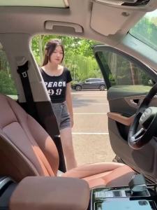 2024 OMODA C9 Front Windshield Sunscreen Heat Shield