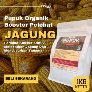 Pupuk Jagung Granulle Organik Booster Masa Pertumbuhan & Pembesar Buah Jagung Manis Cepat Berbuah"