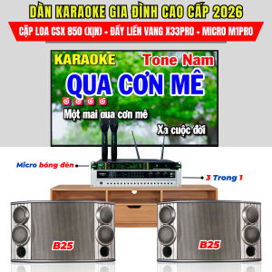 [tặng đủ dây jack - lắp đặt 100km] Dàn âm thanh karaoke nghe nhạc gia đình sân khấu cặp loa 3 tấc xịn cao cấp + đẩy liền vang X33 + micro bóng tube M1 Pro