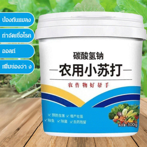 สารเพิ่มความแข็งแรงในการปลูกพืช