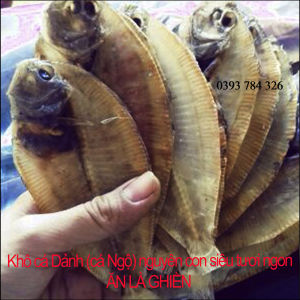 1KG Khô Cá Dảnh (Cá Ngộ) Nguyên Con Đặc Sản PHAN THIẾT-BÌNH THUẬN Dùng Nấu Nước Lèo
