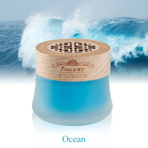 Solid Air Freshener Home Toilet Fragrance Aromatherapy Car Deodorization Scent