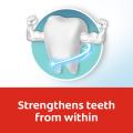 Colgate Maximum Cavity Protection Great Regular Flavour Toothpaste Valuepack 175G X 3. 