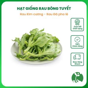 Hạt giống rau Bông tuyết (rau Kim cương rau Đá pha lê) - Nguyên gói khoảng 300 hạt hàng Trung
