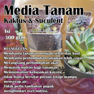 Media Tanam Sukulen & Kaktus / metan Pumice Kaktus Koboi / Media Tanam Porous Subur