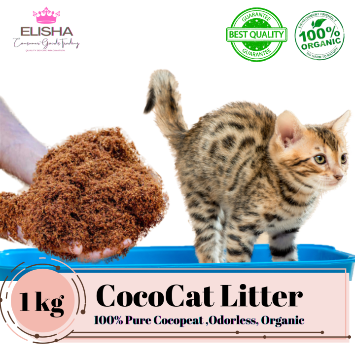 PET CAT LITTER 1 KILOGRAM PER PACK VERY ORGANIC ODORLESS COD AND