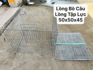 Lồng bồ câu ( 50x50x45cm ) Dùng úm gà con gà tre thỏ ( Lồng Tập Lực cho chim )