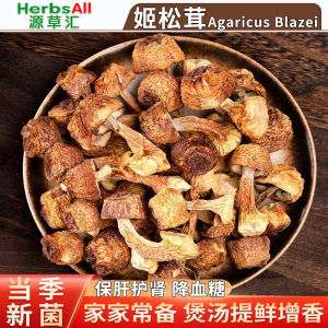 Agaricus Blazei Mushroom 姬松茸 巴西蘑菇 松茸鲜 蘑菇之王 200g Cendawan Agaricus/Brazilian Brazil Mushroom