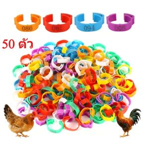 ห่วงขาไก่ ปรับขนาดห่วงได้(1.6-1.8ซม) ห่วงขาไก่ชน แหวนไส่เท้าไก่ ปลอกขาไก่ชน 50 ชิ้น แหวนขาไก่ เป็ด ห่าน สีผสม