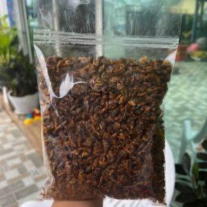 หอยลายอบกรอบ หอมอร่อย ทานเล่น กรอบมันส์เคี้ยวเพลิน