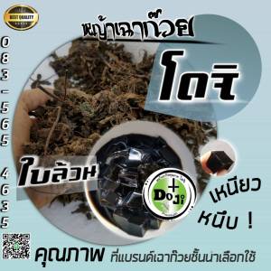 💥ดี ที่ สุ ด❗ใบหญ้าเฉาก๊วย โดจิ ใบล้วน100% เกรดพรีเมี่ยม ยางเหนียวหนึบมาก ห่อ10กกก