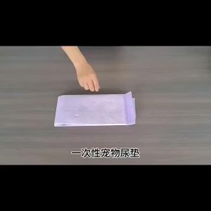 Thick DisposablePee Pads for Dogs & Cats Training