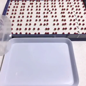 Màu đỏ Trung Quốc Vòng tay dệt tròn Handmade hạt cổ tay Bangle có thể điều chỉnh dây thừng đỏ tay chuỗi mắt xích cho may mắn và tài sản