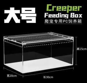 Pet Reptile Terrarium Top Opening Aquarium Tank with Screen Ventilation Small Insect Animals Habitat Accessories