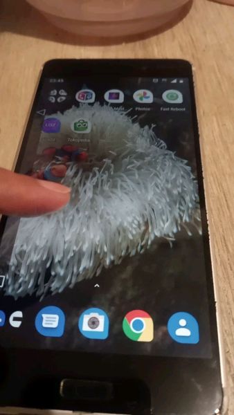 Buyer review video 2