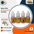 Hocat Obat Penurun Demam Panas Pada Kucing. 