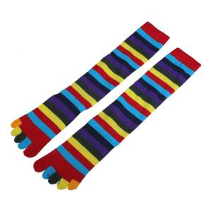 Women Split Toe 5 Finger Calf Socks Rainbow Colorful Stripe Clover Print Hosiery